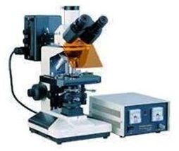 荧光显微镜 XYS-13