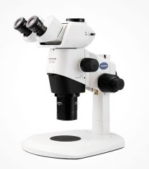 奥林巴斯SZX10/SZX16研究级体视显微镜