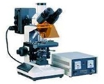 荧光显微镜 XYS-13